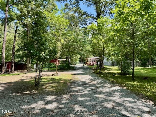 951 Harris Mill Road Rougemont, NC 27572 - Photo 84 of 89 a view of a park with large trees