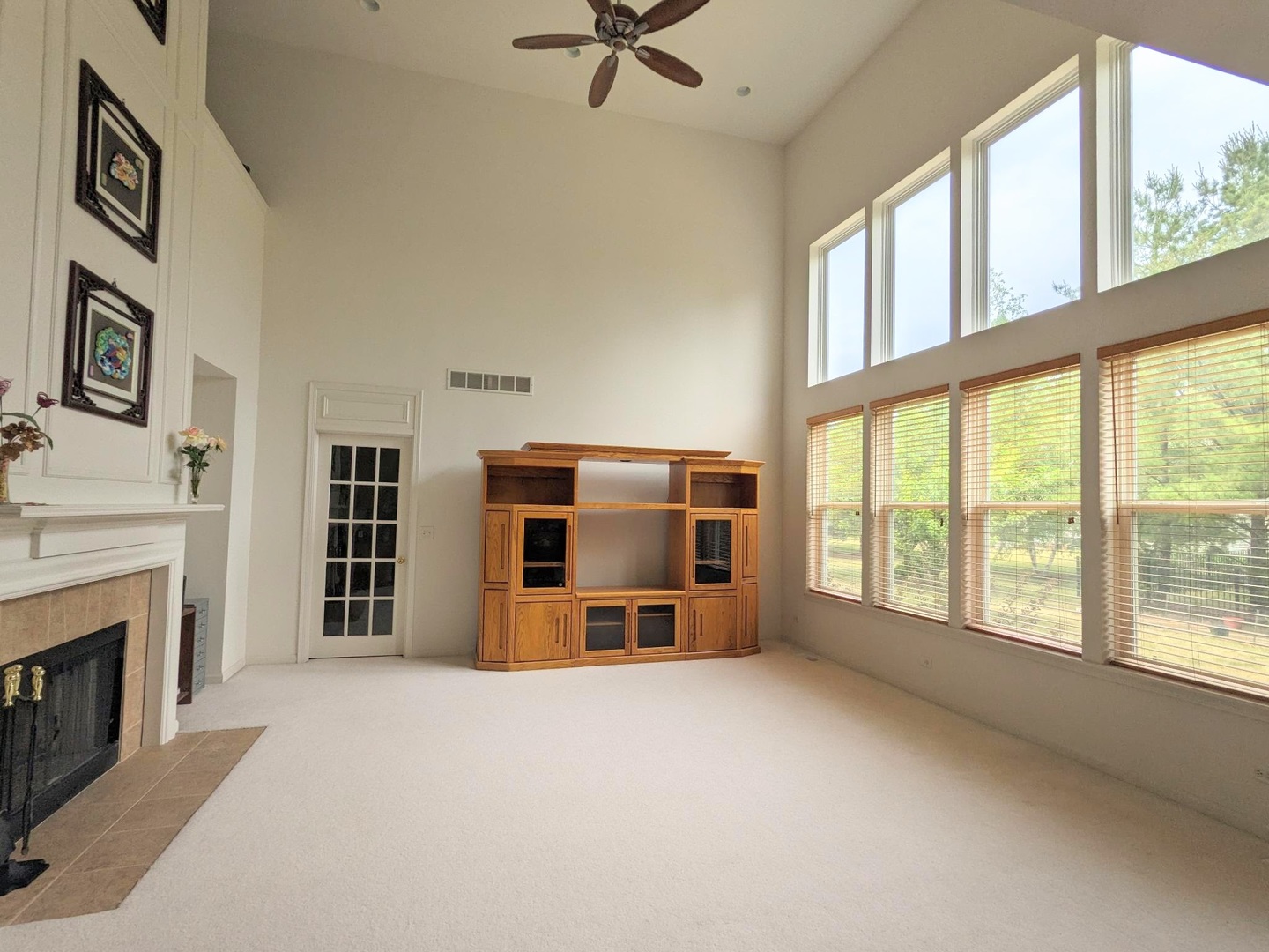 24632 Apollo Drive Plainfield, IL 60585 - Photo 6 of 22 a living room with furniture and a fireplace