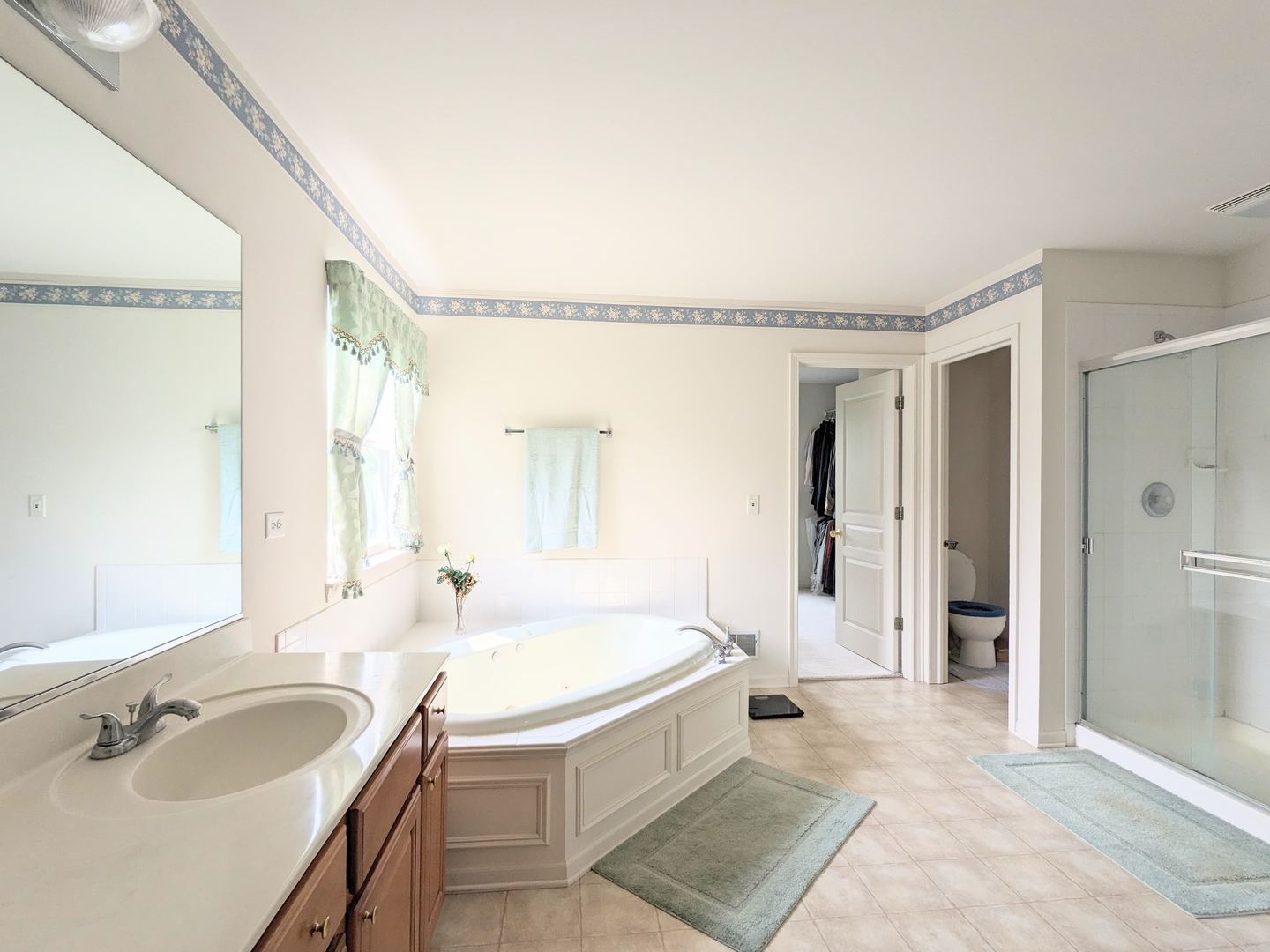 24632 Apollo Drive Plainfield, IL 60585 - Photo 9 of 22 a spacious bathroom with a tub sink and mirror
