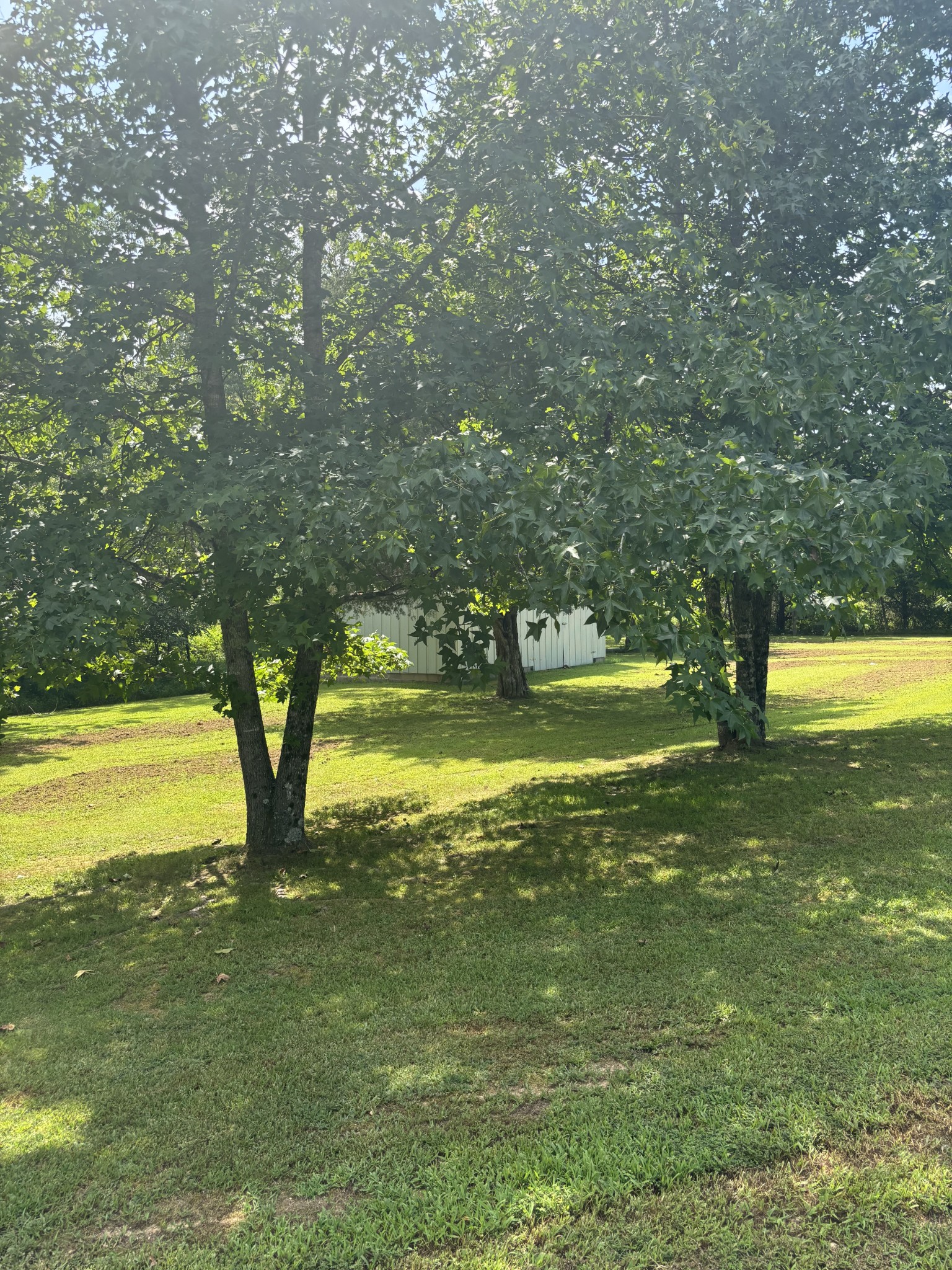 985 CCC Road McEwen, TN 37101 - Photo 11 of 37 Gallery Image 11