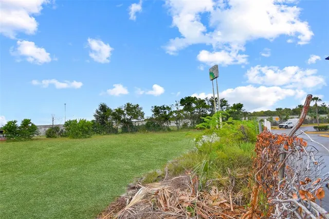 a view of a flower in a garden