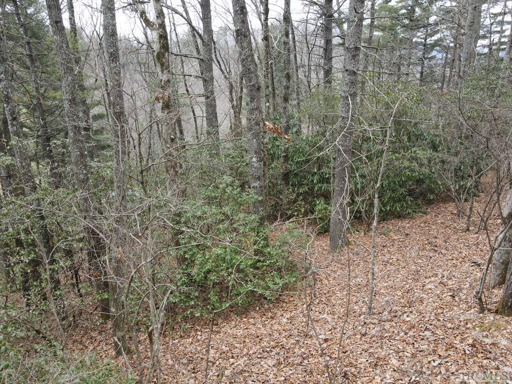 Tbd Pine Creek Road Cullowhee, NC 28723 - Photo 33 of 51 Gallery Image 33