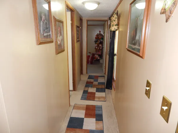 a view of a yard with trees