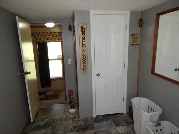 a view of a yard with a tree