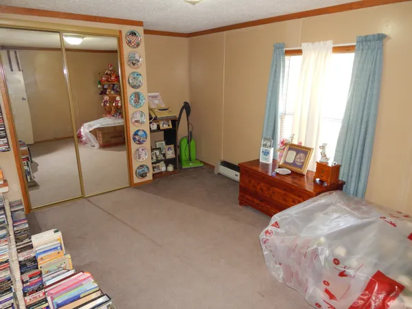 a view of backyard with large trees