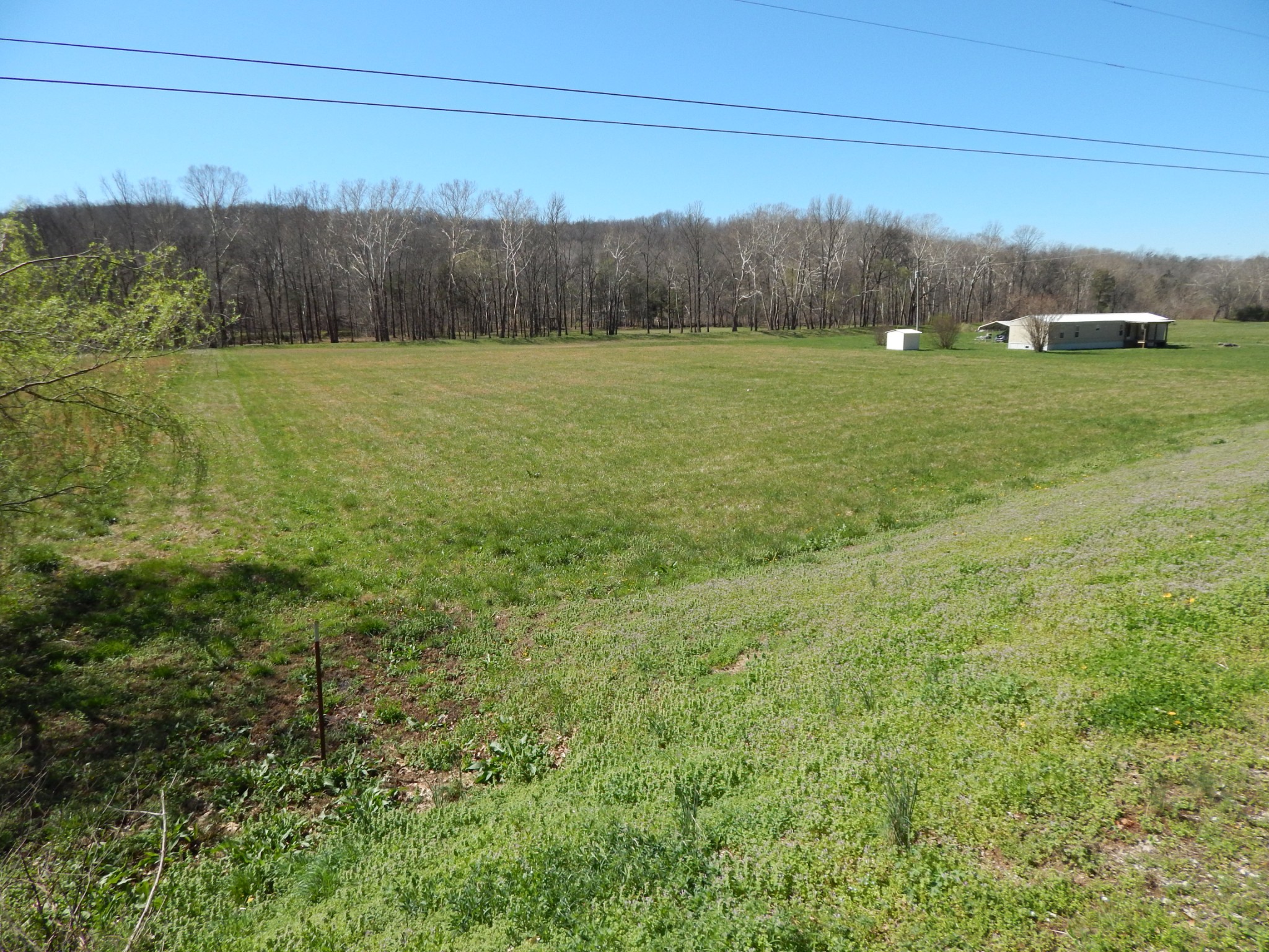 6223 Beech Creek Road Clifton, TN 38425 - Photo 3 of 68