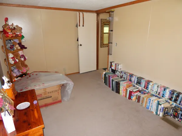 a view of a yard with large trees