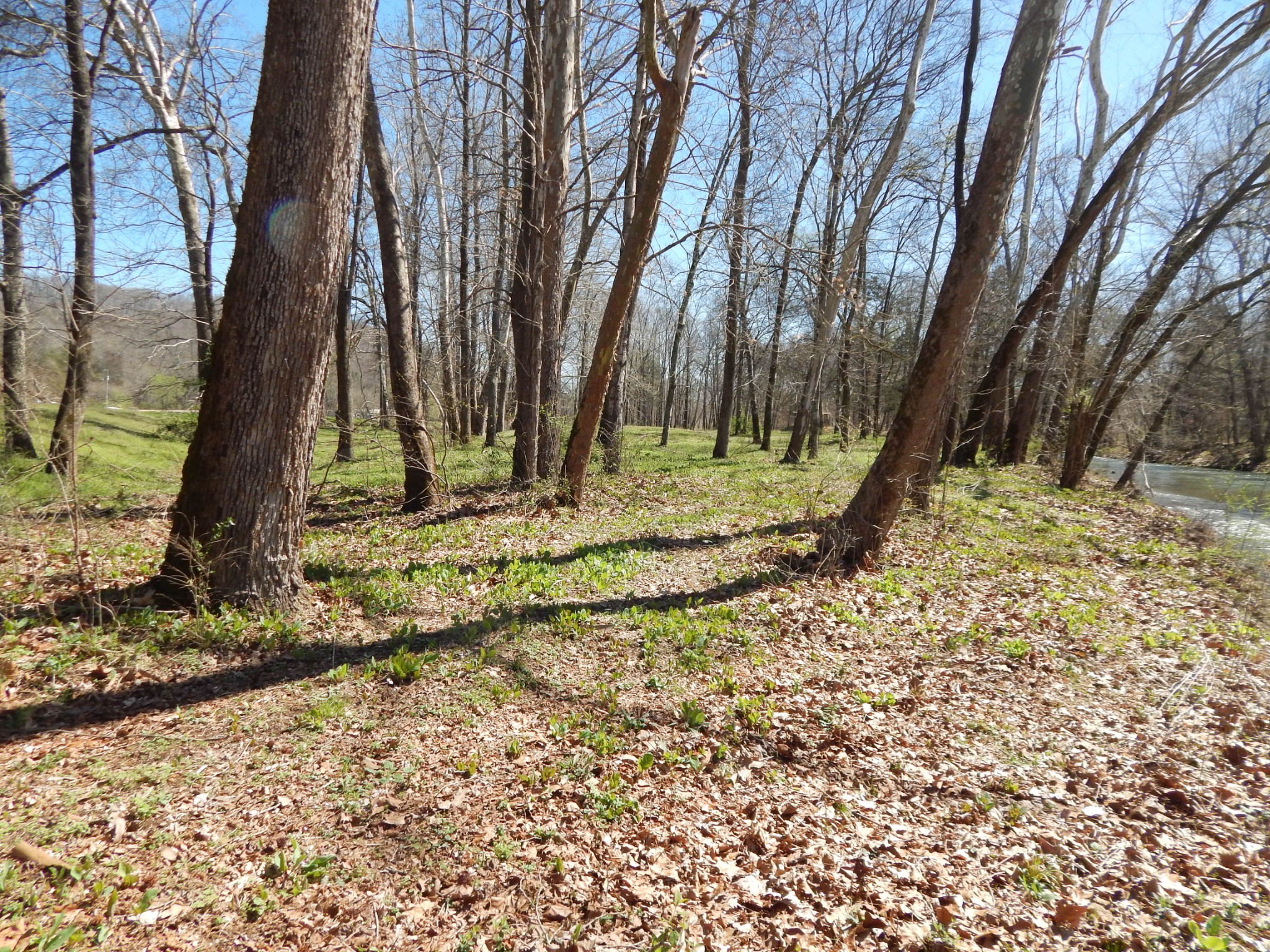 6223 Beech Creek Road Clifton, TN 38425 - Photo 33 of 68