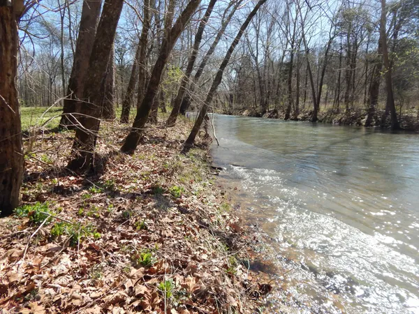 a view of outdoor space with trees