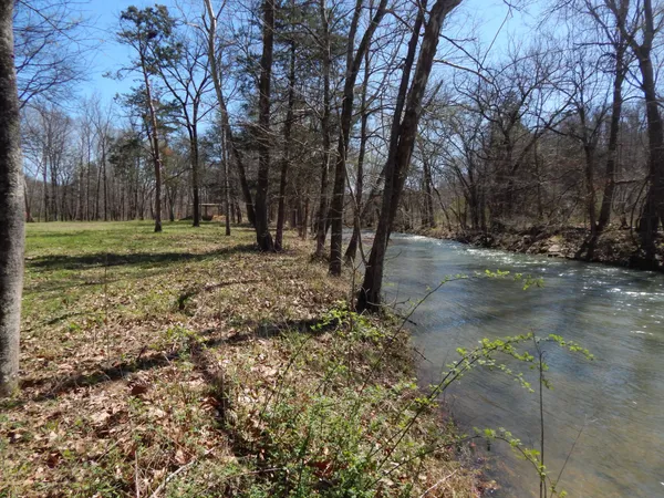 a backyard of apartments with large trees