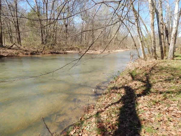 a view of yard with trees