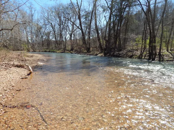 a view of a field with an trees