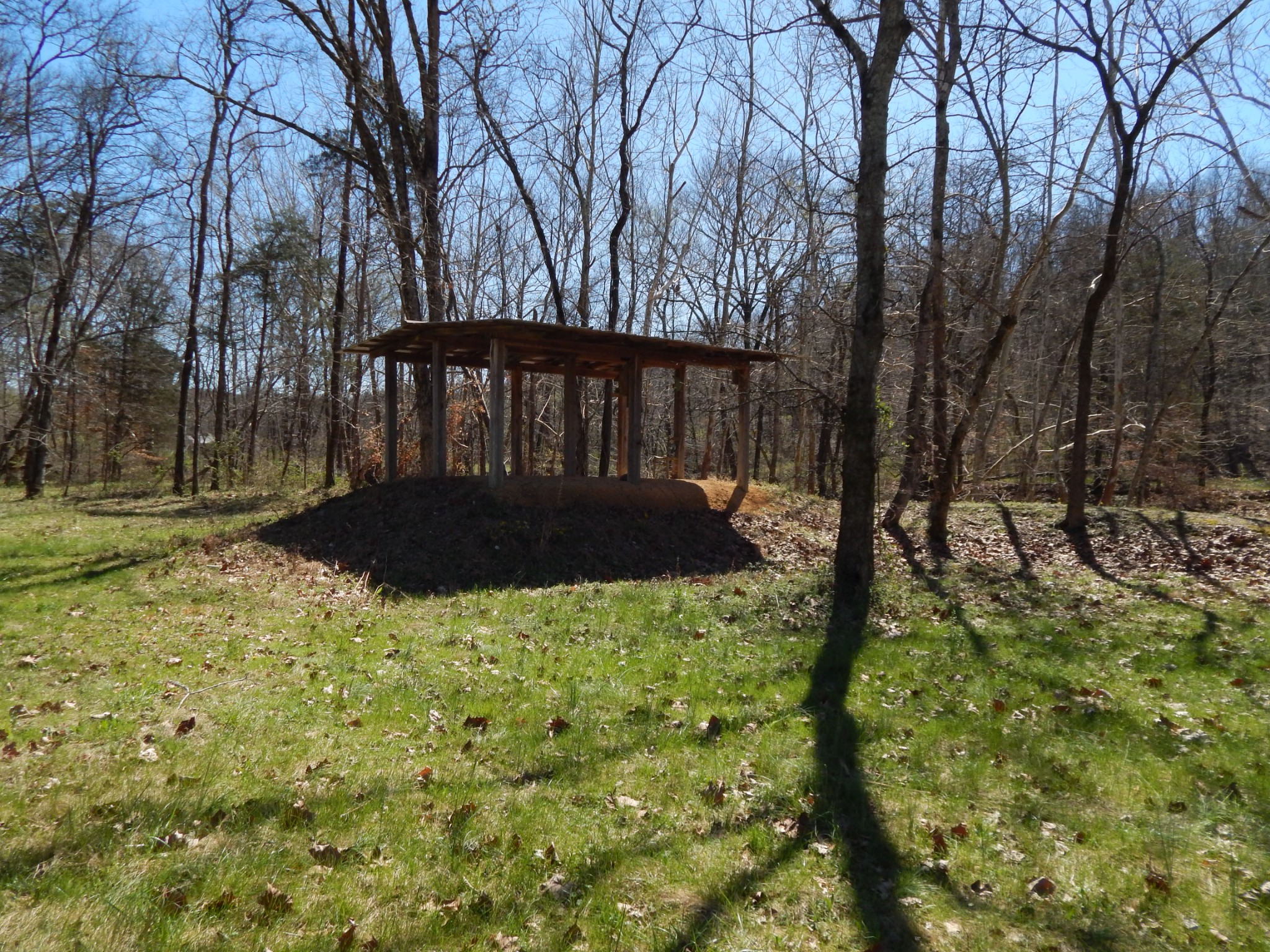 6223 Beech Creek Road Clifton, TN 38425 - Photo 41 of 68