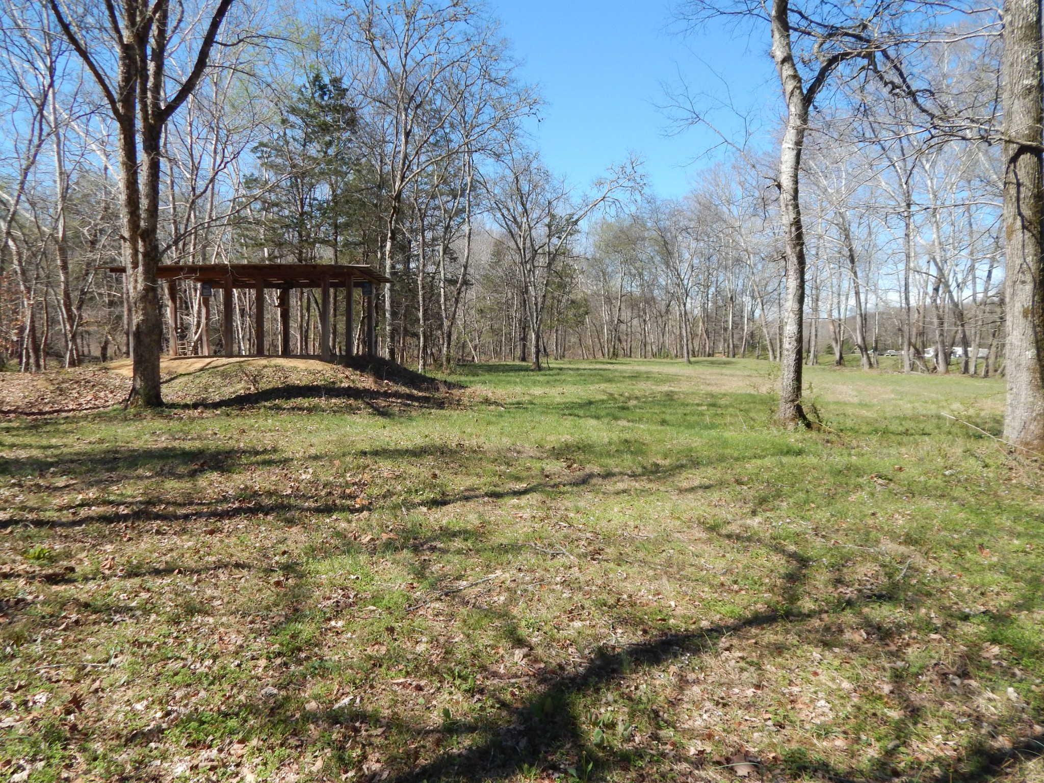6223 Beech Creek Road Clifton, TN 38425 - Photo 46 of 68 a view of outdoor space with trees