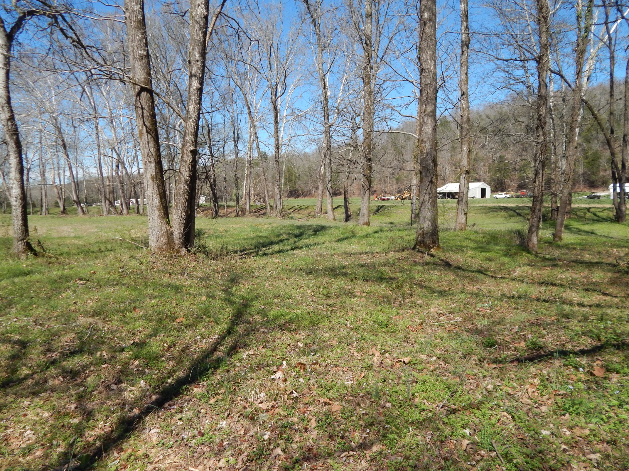 6223 Beech Creek Road Clifton, TN 38425 - Photo 47 of 68 a backyard of apartments with large trees