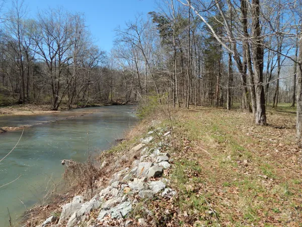 a view of a yard with plants and trees