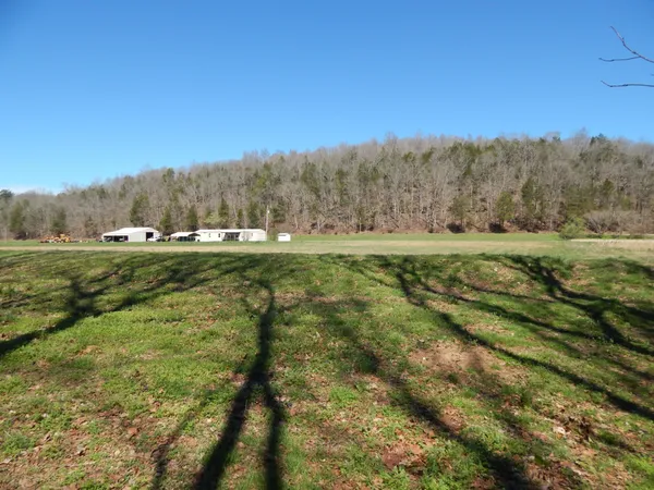a view of a house with backyard and porch