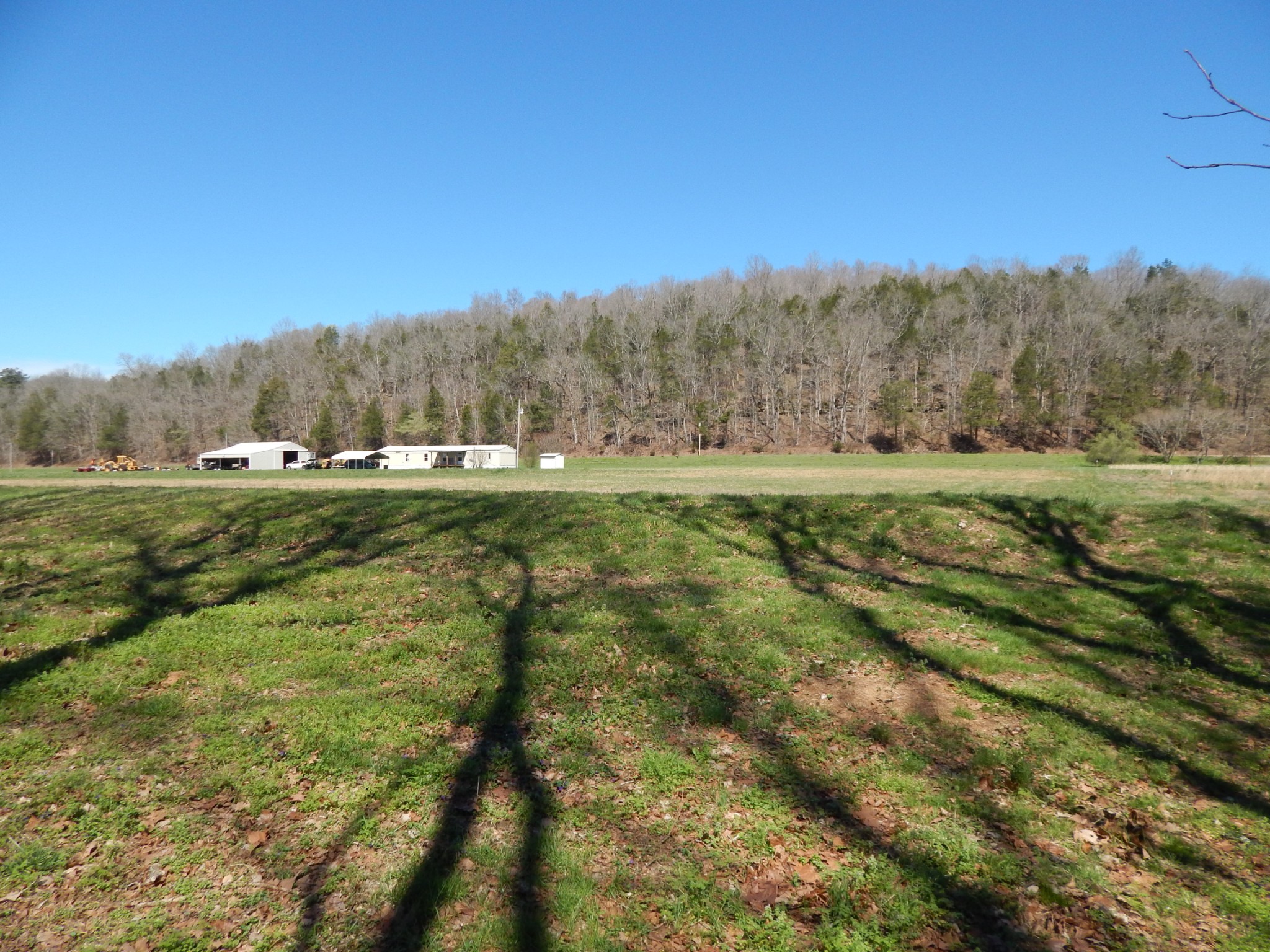 6223 Beech Creek Road Clifton, TN 38425 - Photo 50 of 68 a view of large trees and a yard