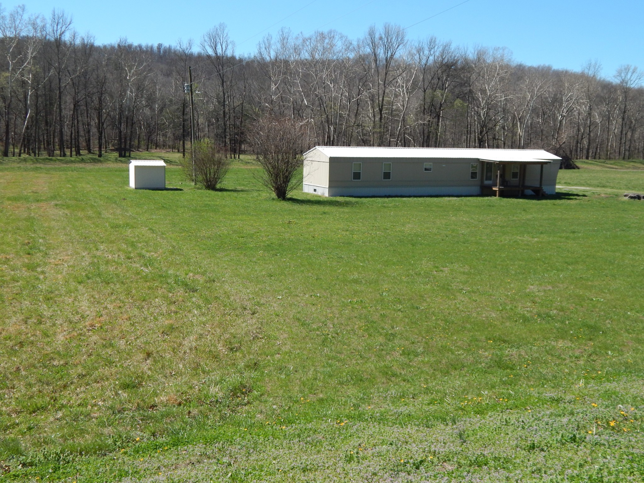 6223 Beech Creek Road Clifton, TN 38425 - Photo 5 of 68 a view of a green field