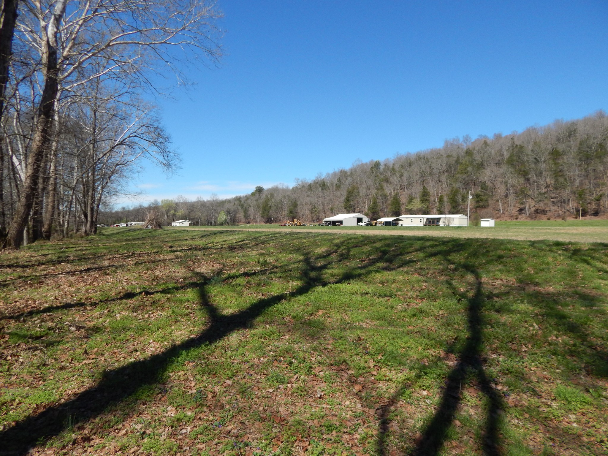6223 Beech Creek Road Clifton, TN 38425 - Photo 51 of 68 a view of a field with an trees