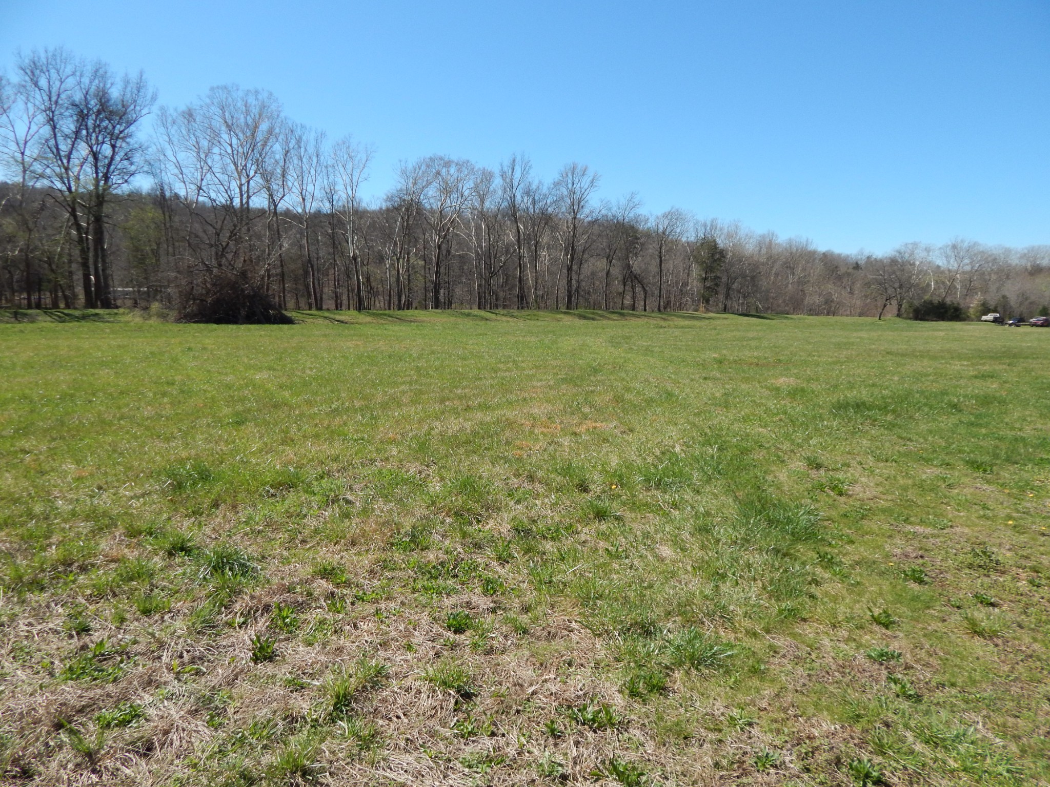 6223 Beech Creek Road Clifton, TN 38425 - Photo 59 of 68