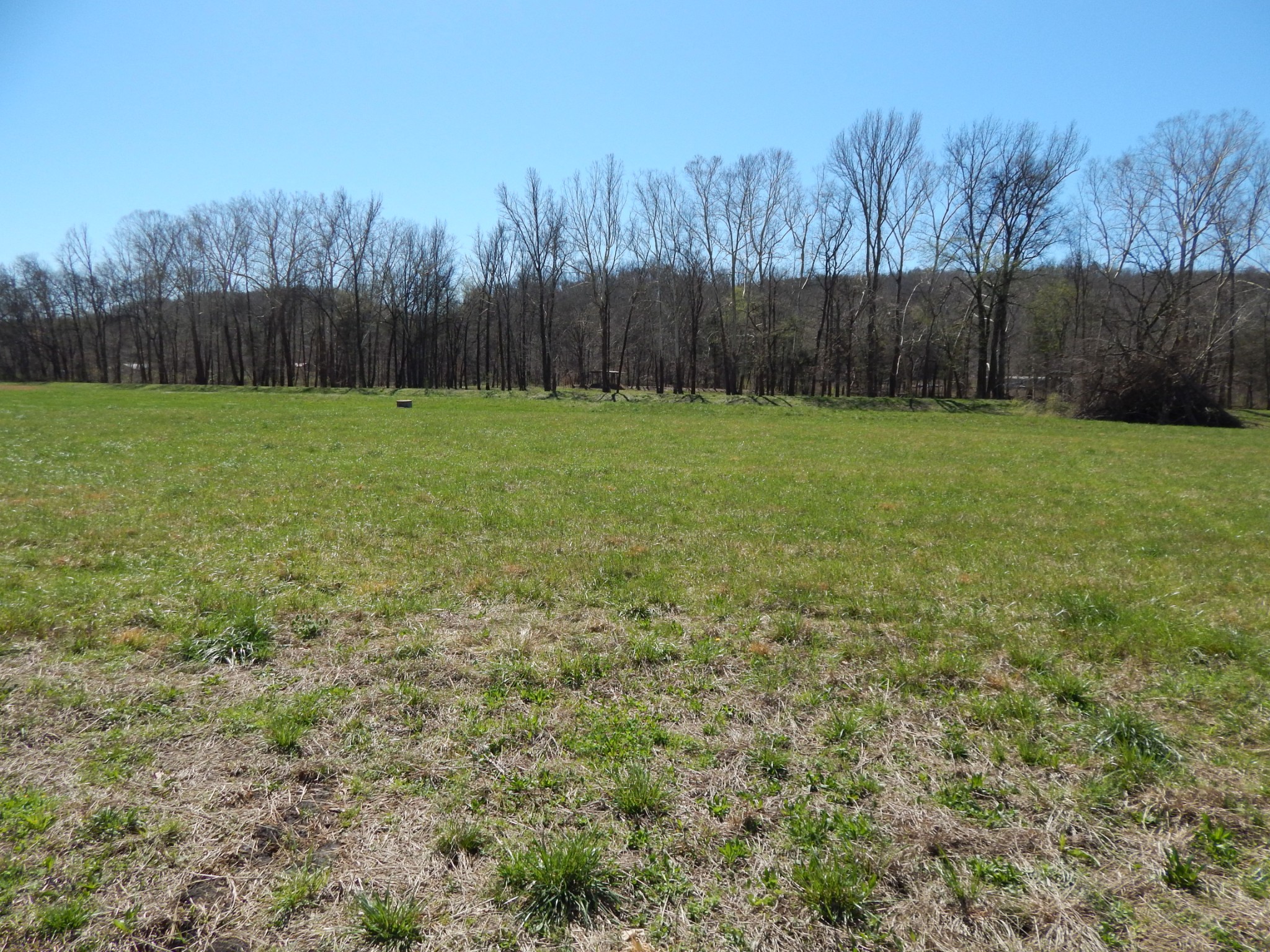 6223 Beech Creek Road Clifton, TN 38425 - Photo 60 of 68 a view of a backyard