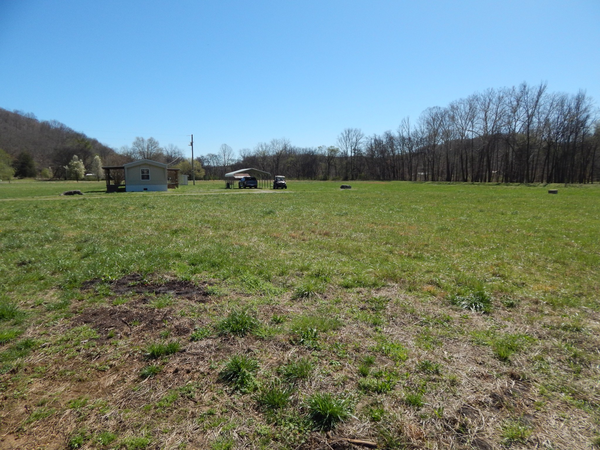 6223 Beech Creek Road Clifton, TN 38425 - Photo 61 of 68 a view of outdoor space with green field and trees