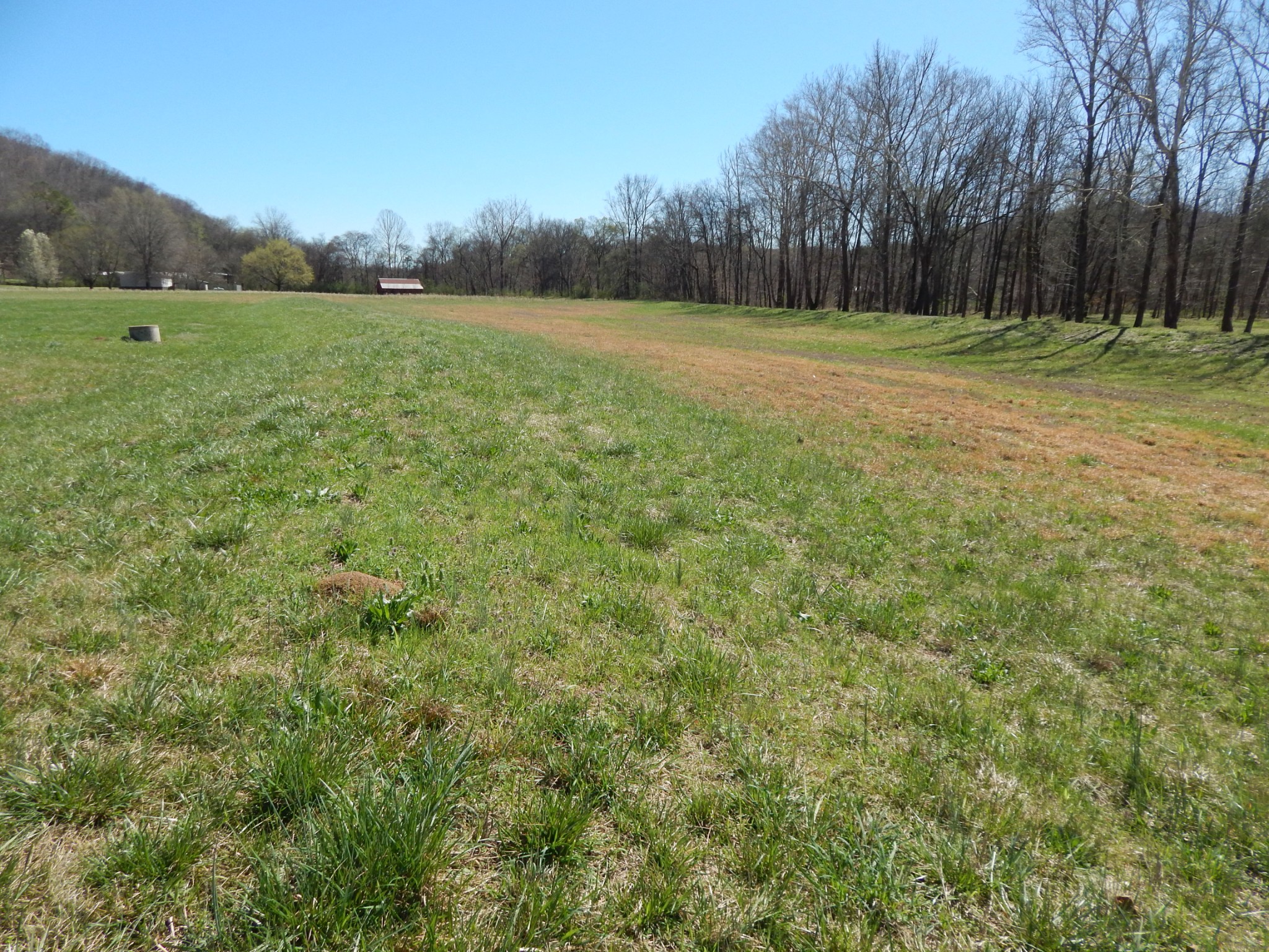 6223 Beech Creek Road Clifton, TN 38425 - Photo 63 of 68