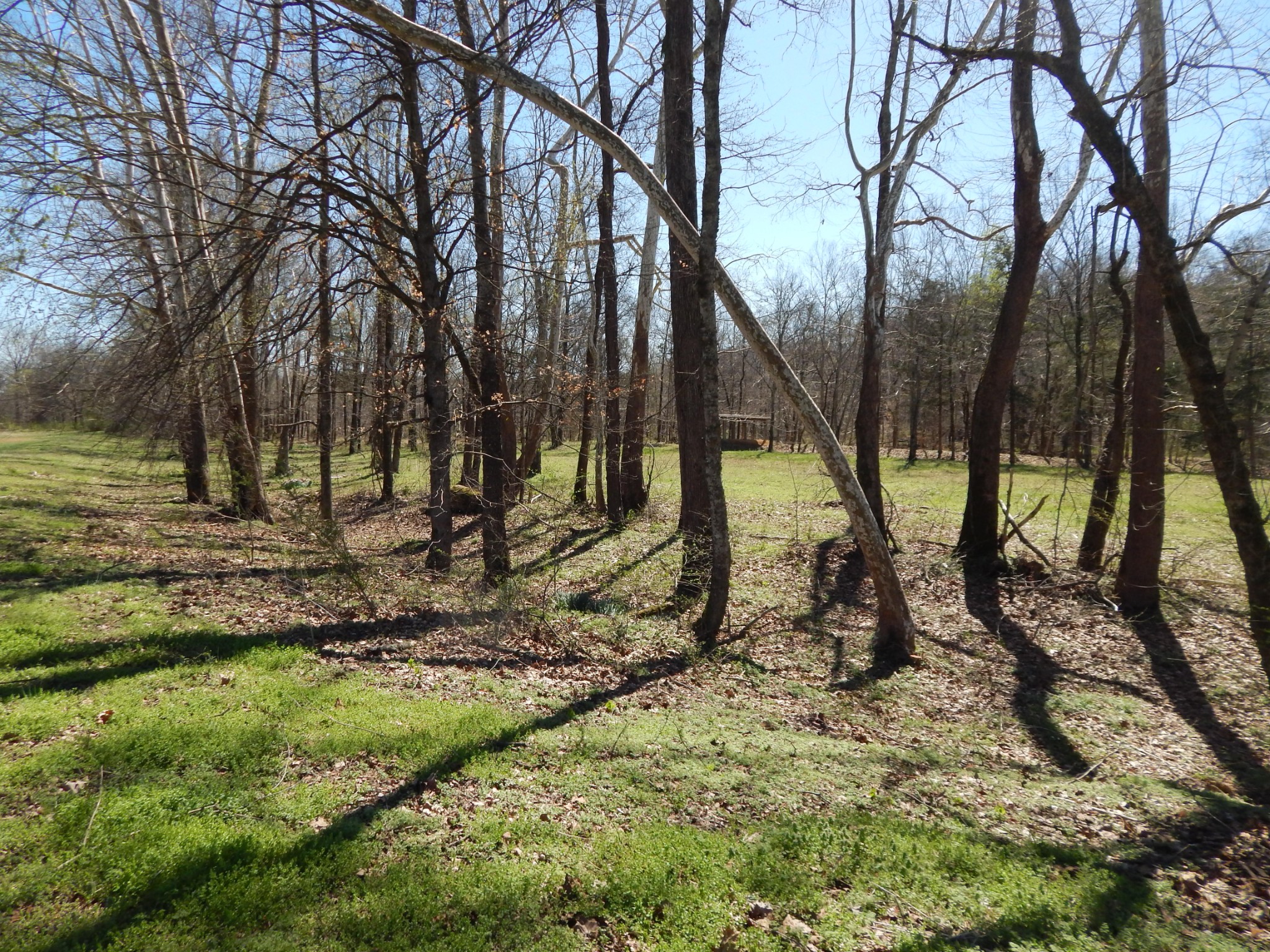 6223 Beech Creek Road Clifton, TN 38425 - Photo 66 of 68