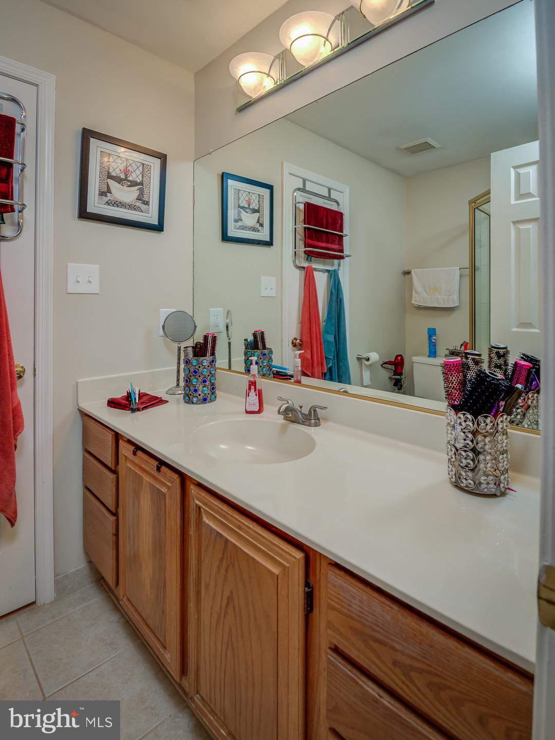 2220 Springwood Drive, Unit 108B Reston, VA 20191 - Photo 13 of 17 MASTER BATHROOM