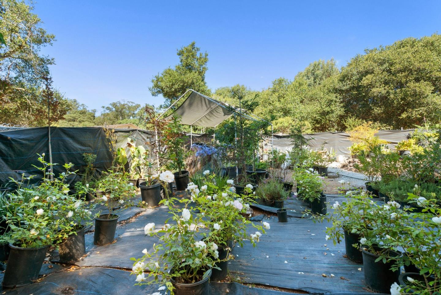 19125 Marjorie Road Salinas, CA 93907 - Photo 65 of 80 Gallery Image 65