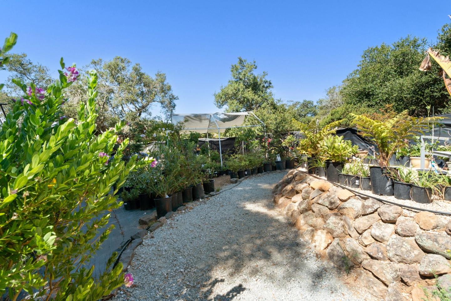 19125 Marjorie Road Salinas, CA 93907 - Photo 67 of 80 Gallery Image 67