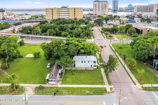 a small yard and large trees