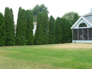 411 West Erie Road Temperance, MI 48182 - Photo 2 of 20 629989-1.JPG
