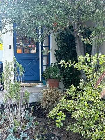a view of a backyard with plants