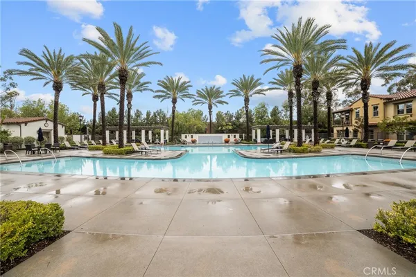 a view of palm trees and palm tree