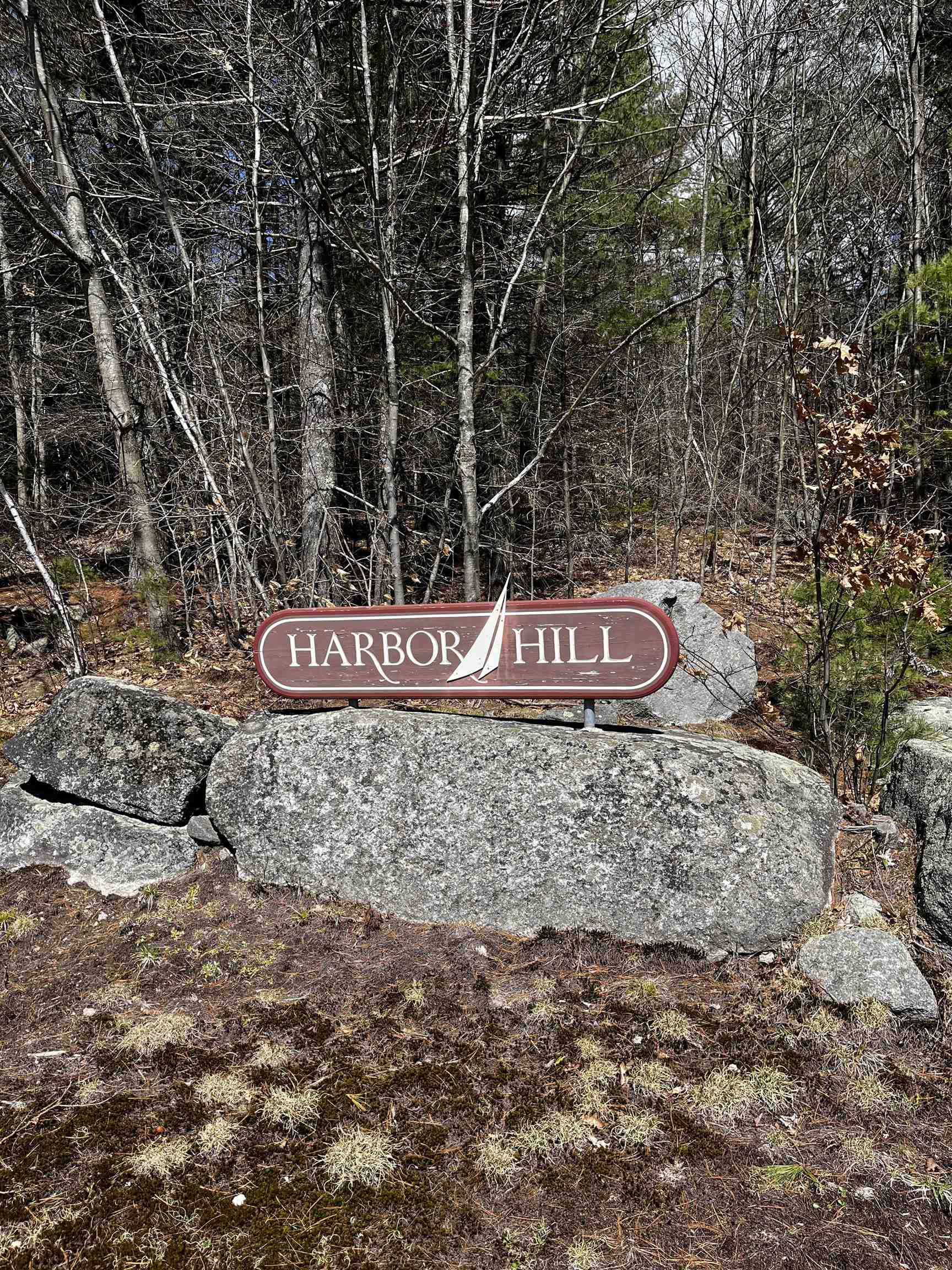 0 Harbor Hill Road Sunapee, NH 03782 - Photo 19 of 19