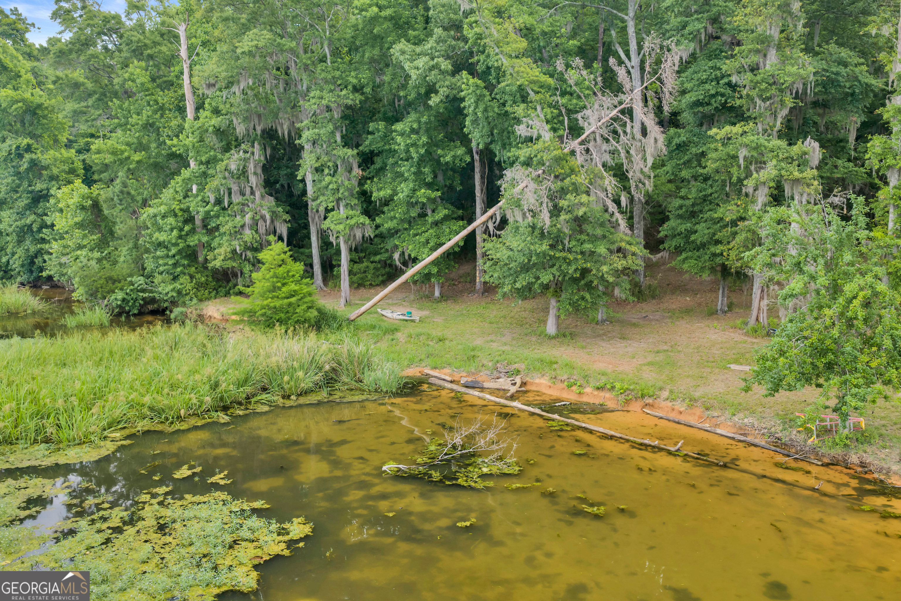 473 Vining Branch Road Georgetown, GA 39854 - Photo 34 of 43 a view of a yard with large trees