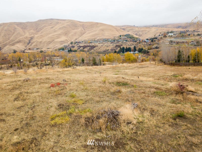 0 Lower Monitor Road Wenatchee, WA 98801 - Photo 7 of 10 Gallery Image 7