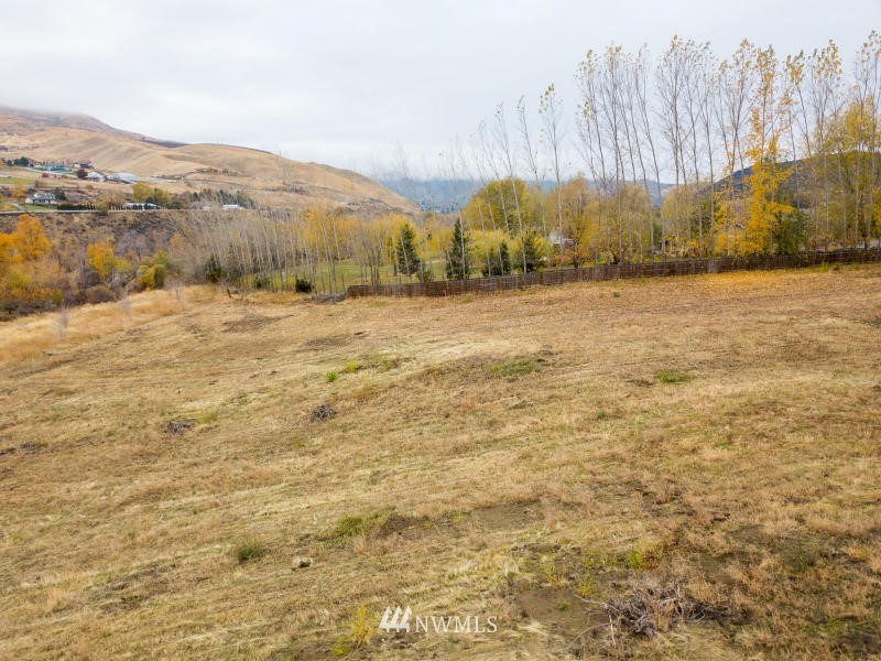 0 Lower Monitor Road Wenatchee, WA 98801 - Photo 8 of 10 Gallery Image 8