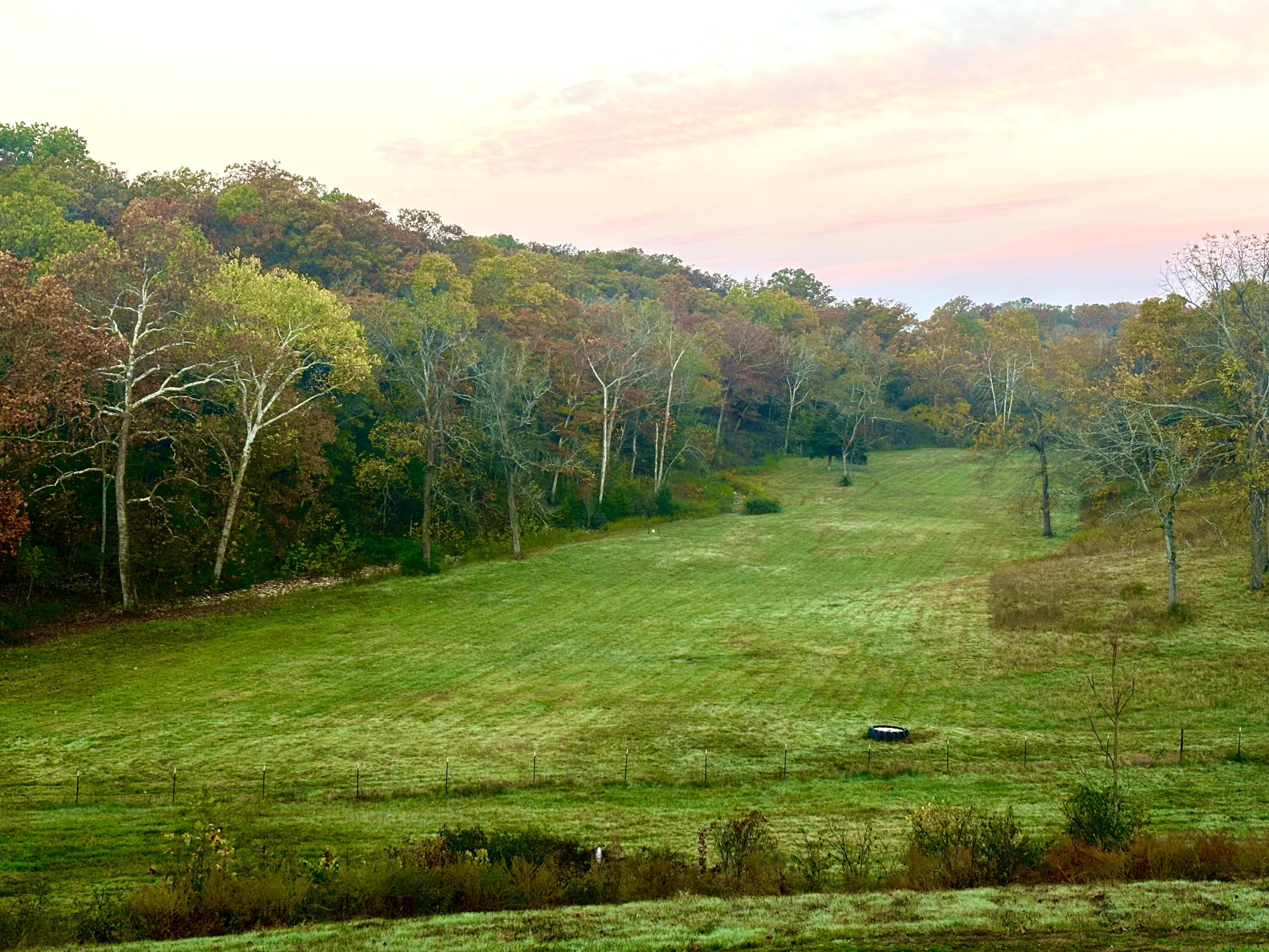0 Prescott Road Kissee Mills, MO 65680 - Photo 2 of 15 IMG_1796