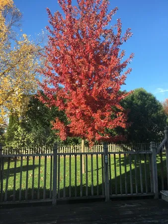 $349,900 | 307 North Cottage Avenue, Normal, IL 61761