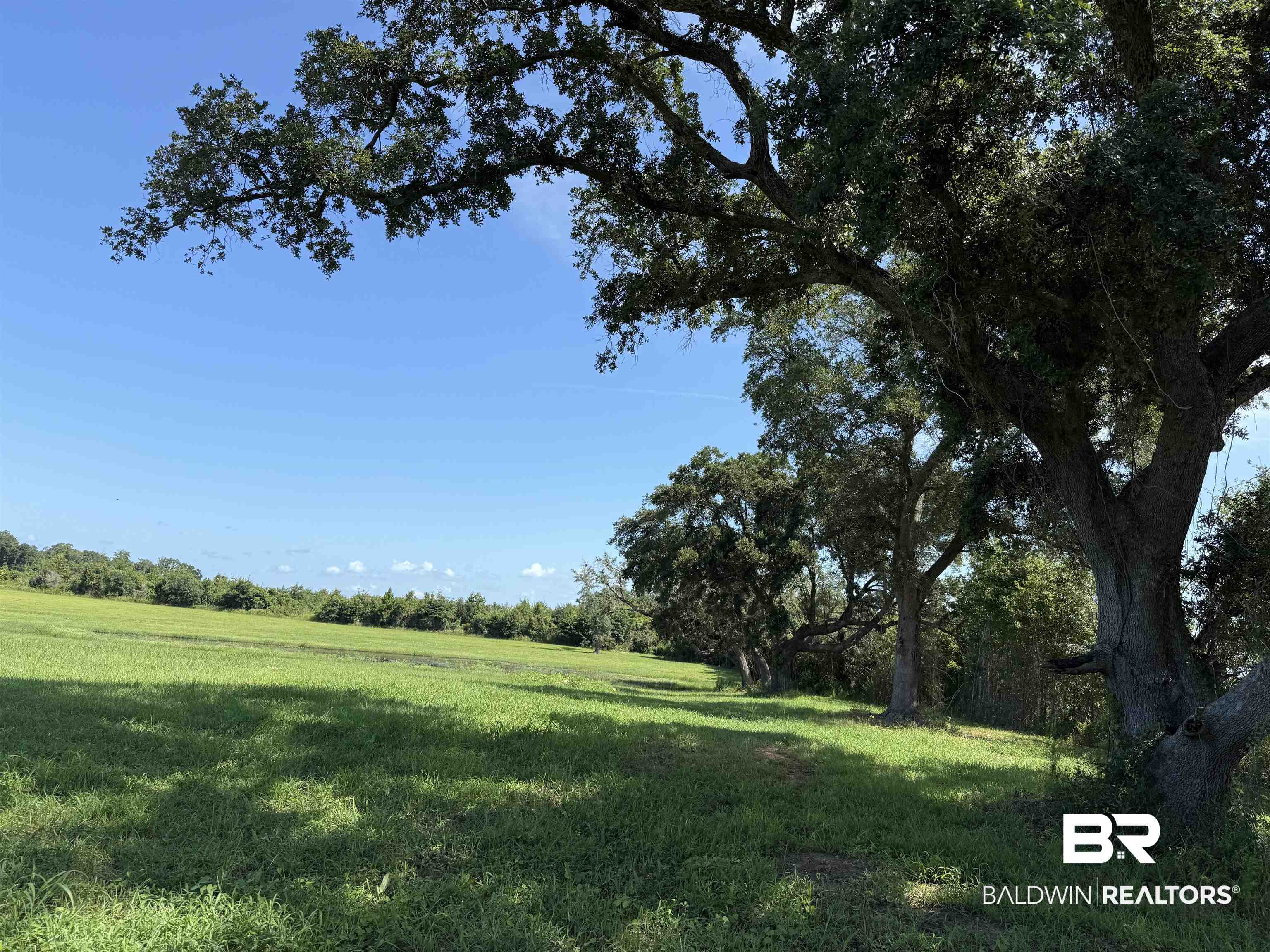 10010 Weeks Road Foley, AL 36535 - Photo 2 of 4 View of green lawn featuring a rural view