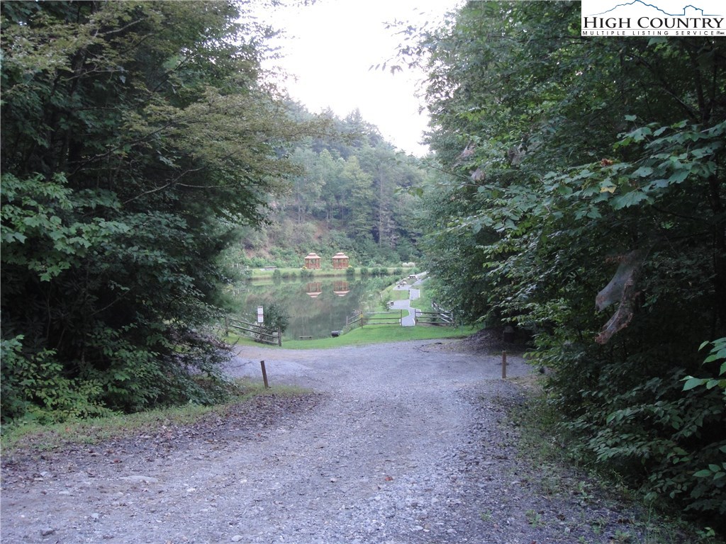 Lot 87 Woodpecker Road Purlear, NC 28665 - Photo 11 of 30 a view of a forest with trees