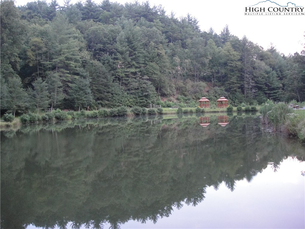 Lot 87 Woodpecker Road Purlear, NC 28665 - Photo 12 of 30 a view of a lake from a yard