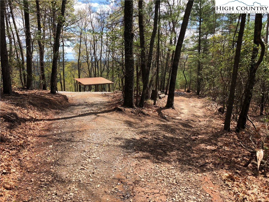 Lot 87 Woodpecker Road Purlear, NC 28665 - Photo 24 of 30 a backyard of a house with barbeque oven