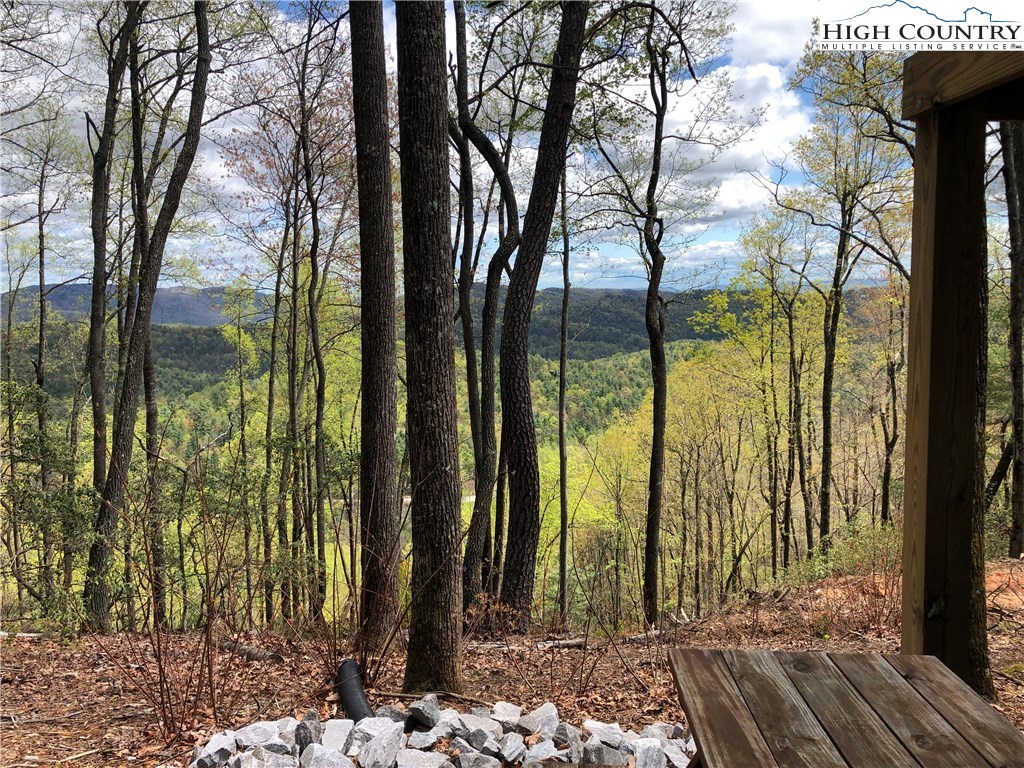 Lot 87 Woodpecker Road Purlear, NC 28665 - Photo 27 of 30 a view of a outdoor space