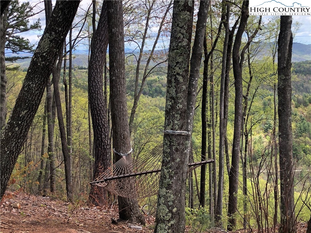 Lot 87 Woodpecker Road Purlear, NC 28665 - Photo 30 of 30 a view of forest