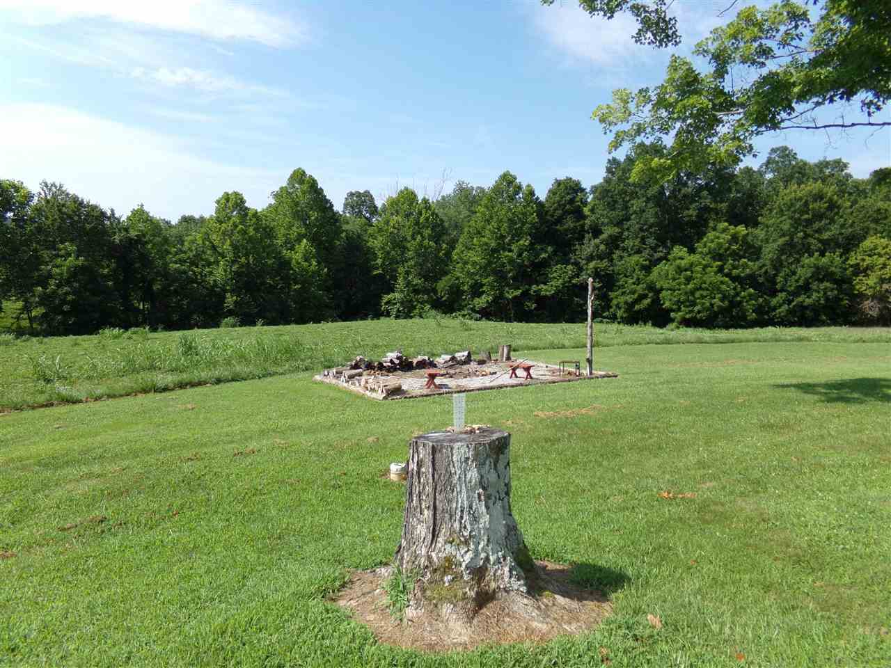 645 Ouiggins Road Olaton, KY 42361 - Photo 9 of 20 Gallery Image 9