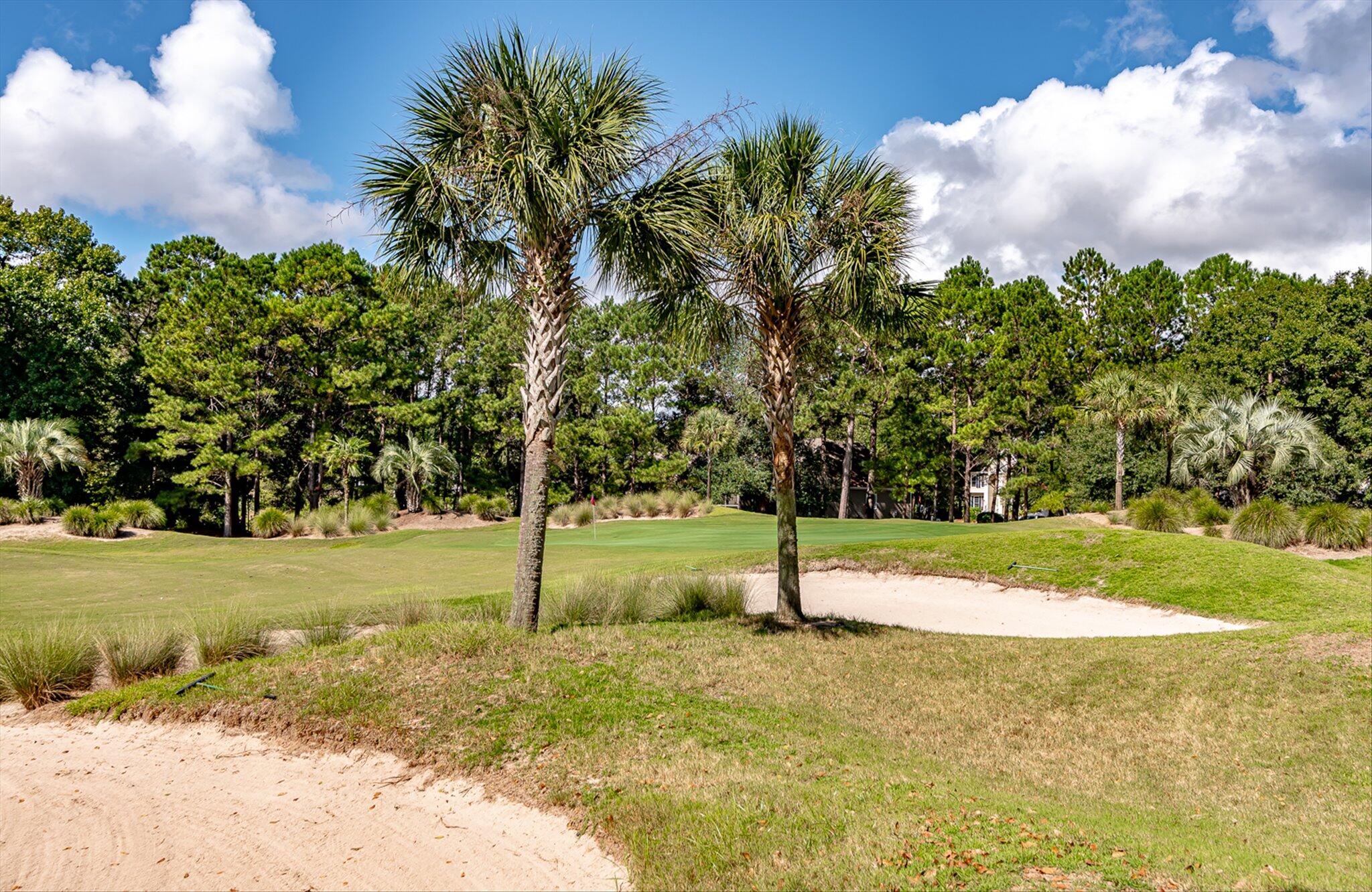 3149 Linksland Road Mount Pleasant, SC 29466 - Photo 77 of 89 77-Charleston National -s (2)